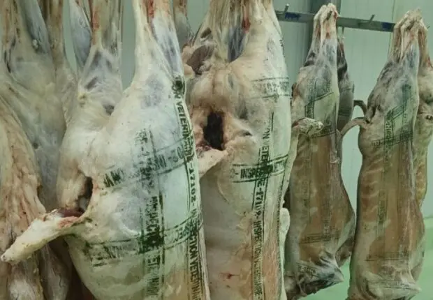 Viande locale ou importée ? Voici comment ne plus vous faire piéger chez le boucher