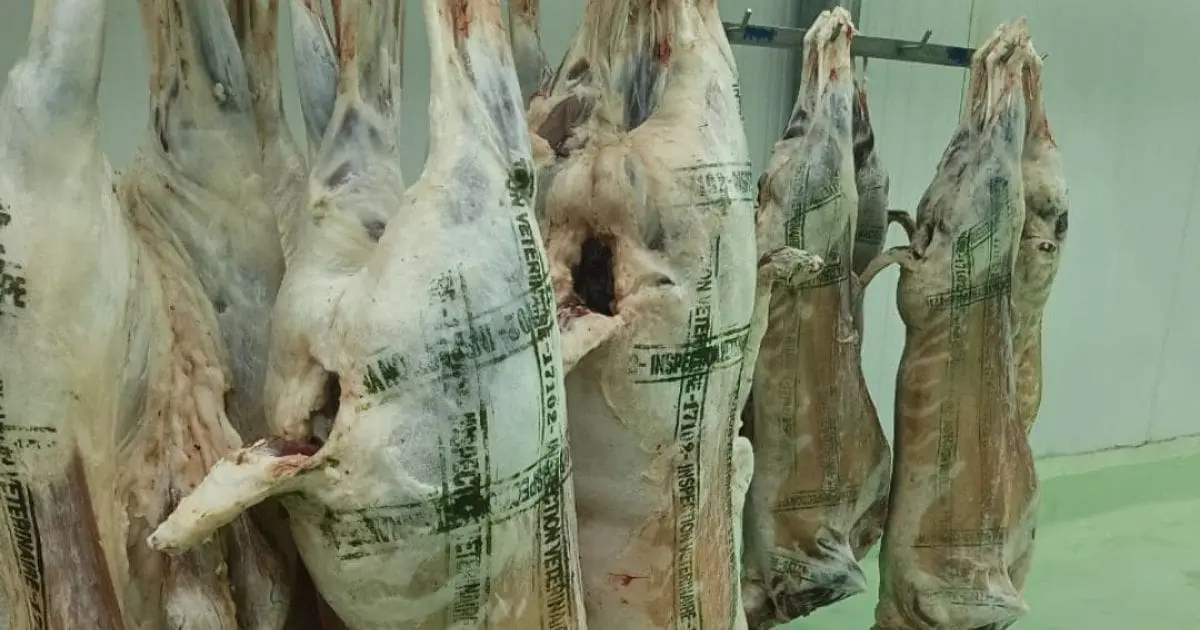 Viande locale ou importée ? Voici comment ne plus vous faire piéger chez le boucher