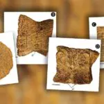 Un reptile marin vieux de 90 millions d’années découvert pour la première fois en Algérie