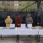 Il a détourné 30 milliards : un réseau criminel démantelé