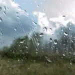 La météo en Algérie ce lundi 23 février : vents forts et pluies orageuses au programme dans ces régions