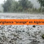 Pluies abondantes, chutes de neige et vents violents ce mercredi 4 février : voici les wilayas en alerte