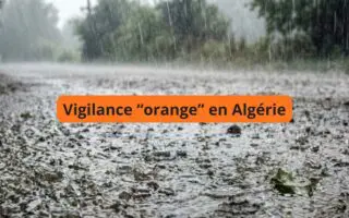 Pluies abondantes, chutes de neige et vents violents ce mercredi 4 février : voici les wilayas en alerte