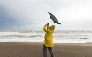 Retour de la pluie et des vents forts ce samedi 7 février : voici les prévisions météo du jour !