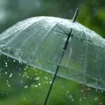 La météo en Algérie ce mardi 17 février : vents forts et pluies orageuses dans plusieurs wilayas