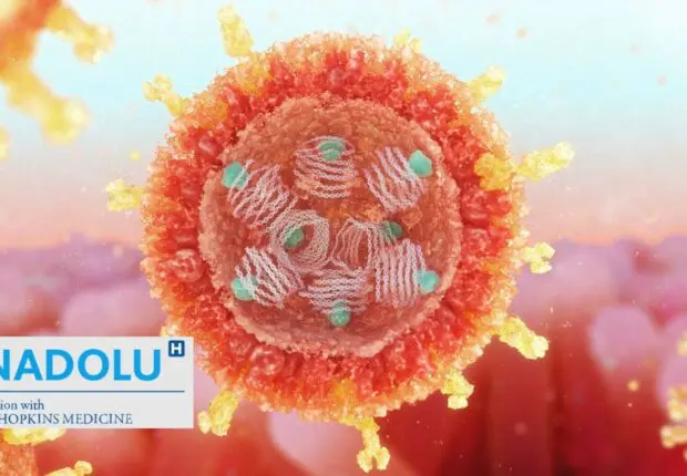 Rotavirus chez l&rsquo;enfant : tout savoir sur l’ennemi invisible des crèches