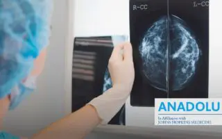 Du stade in situ à la forme invasive : décryptage des multiples formes du cancer du sein