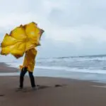 Alerte météo en Algérie : vents jusqu’à 80 km/h dans plusieurs régions ce mercredi 11 février