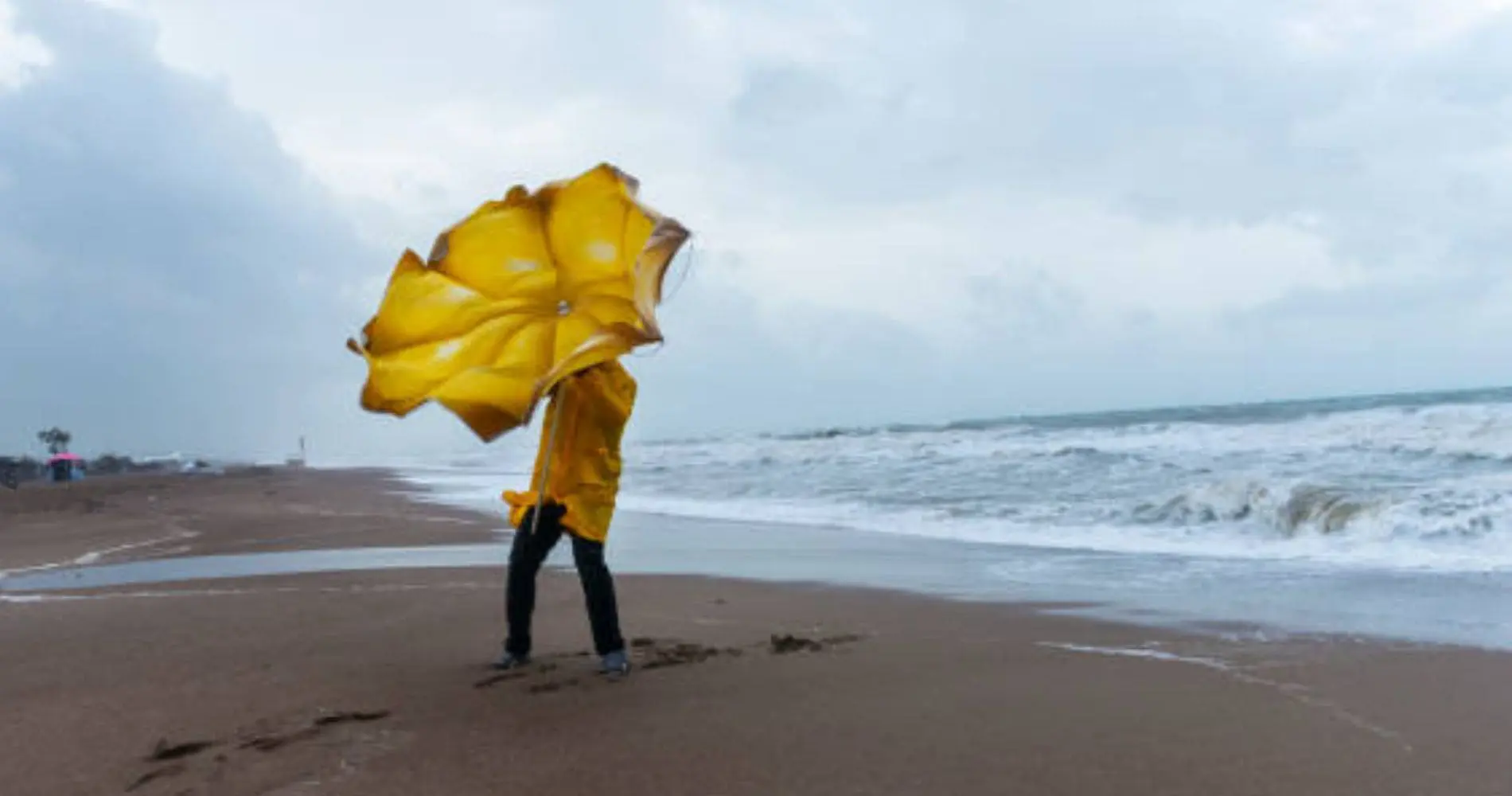 Alerte météo en Algérie : vents jusqu’à 80 km/h dans plusieurs régions ce mercredi 11 février