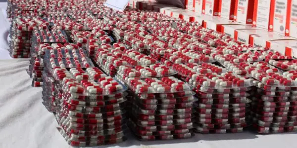 Saisie record à Alger : la GN intercepte plus de 3.4 millions de psychotropes