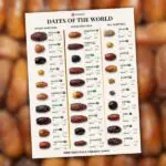 TasteAtlas – Classement mondial des dattes : La Deglet Nour algérienne top 1 dans cette catégorie