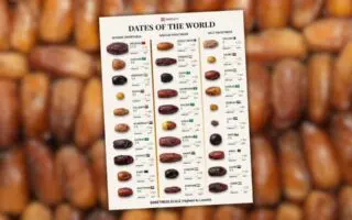 TasteAtlas – Classement mondial des dattes : La Deglet Nour algérienne N°1 dans cette catégorie