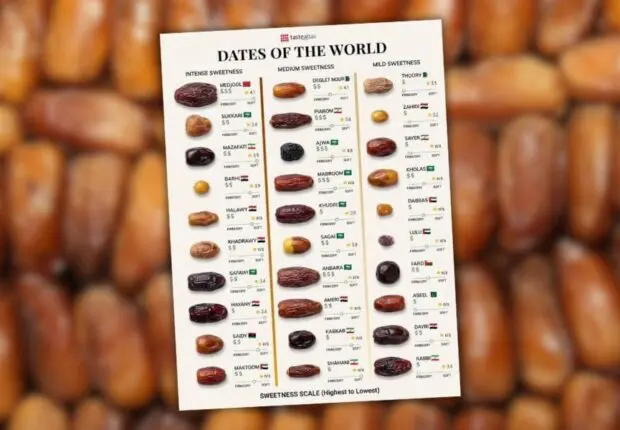 TasteAtlas – Classement mondial des dattes : La Deglet Nour algérienne N°1 dans cette catégorie