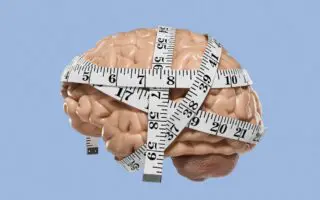 L’Algérie parmi les peuples les plus intelligents du monde arabe en 2026