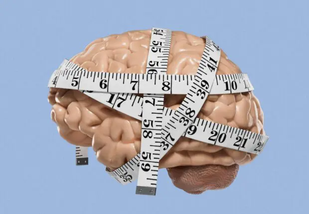 L’Algérie parmi les peuples les plus intelligents du monde arabe en 2026