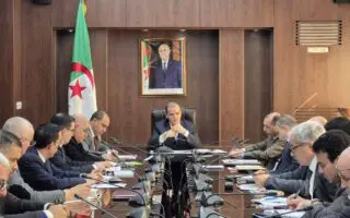 Commerce extérieur : Une carte numérique nationale pour recenser tous les produits algériens