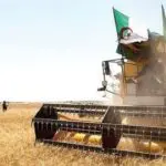 Souveraineté alimentaire : l’Algérie s’impose comme le pays le plus résilient d’Afrique en 2026