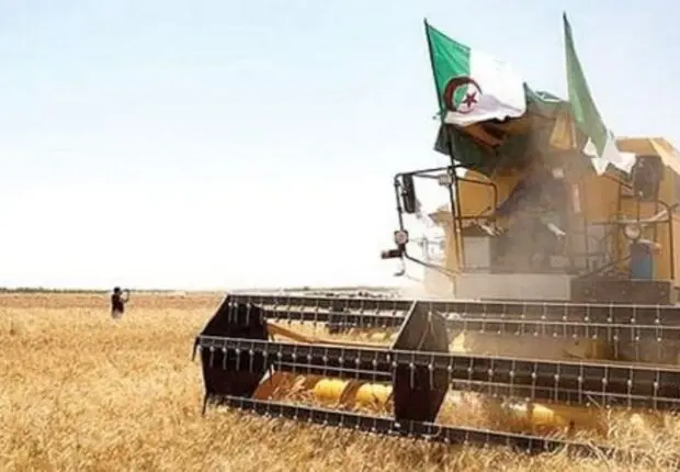 Souveraineté alimentaire : l’Algérie s’impose comme le pays le plus résilient d’Afrique en 2026