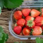 Fraises : Cette pratique vous fait perdre jusqu&rsquo;à 200 DA par barquette sans que vous le sachiez
