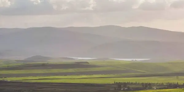 PHOTOS. Après des années d’absence, cet animal emblématique refait surface à Tiaret