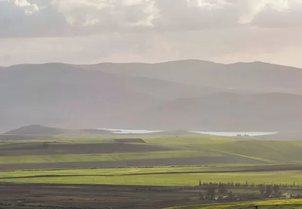 PHOTOS. Après des années d’absence, cet animal emblématique refait surface à Tiaret