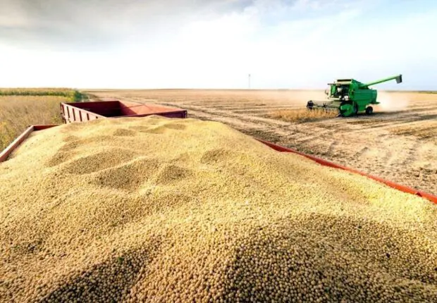 Viande, blé, maïs… Ce qui se cache derrière l’offensive agricole du géant italien BF à Timimoun