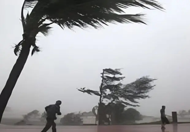 Rafales de vent à 100 km/h et cumuls de 50 mm : 20 wilayas basculent en VIGILANCE ORANGE dès ce lundi