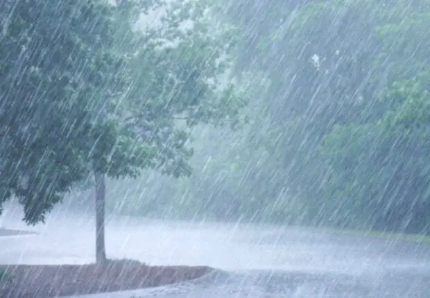 BMS Météo Algérie : fortes pluies orageuses et risque de grêle dans plusieurs wilayas ce lundi 16 mars 