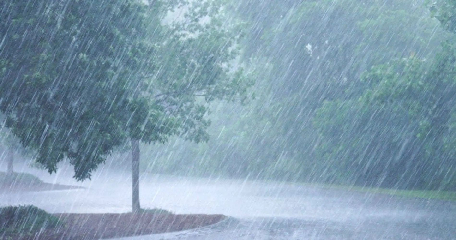 BMS Météo Algérie : fortes pluies orageuses et risque de grêle dans plusieurs wilayas ce lundi 16 mars