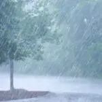 Ce week-end, l’Algérie sous le choc météo : fortes pluies et neige attendues dans plusieurs wilayas