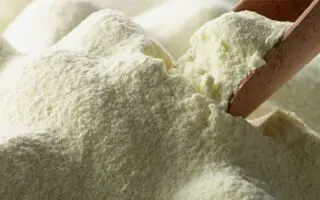 343 millions $ de poudre de lait importée : l’Algérie devient le premier client de ce pays sud-américain