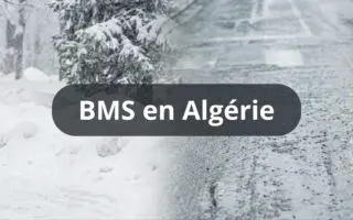 Météo Algérie : neige, pluies intenses et vents violents… ce qui vous attend jusqu’à la fin de semaine