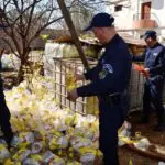 La police sévit contre la spéculation : des citernes d&rsquo;huile subventionnée saisies à Boumerdès [IMAGES]