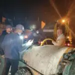 Plus de 60 enfants victimes de « piqûres mystérieuses » : un insecte non identifié déclenche l&rsquo;alerte à Blida