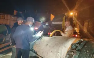 Plus de 60 enfants victimes de « piqûres mystérieuses » : un insecte non identifié déclenche l&rsquo;alerte à Blida