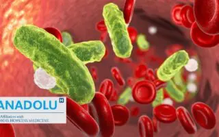 Septicémie : le mécanisme secret d’une réponse immunitaire hors de contrôle