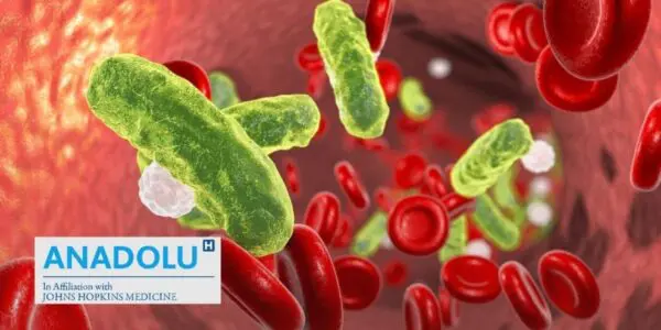 Septicémie : le mécanisme secret d&rsquo;une réponse immunitaire hors de contrôle