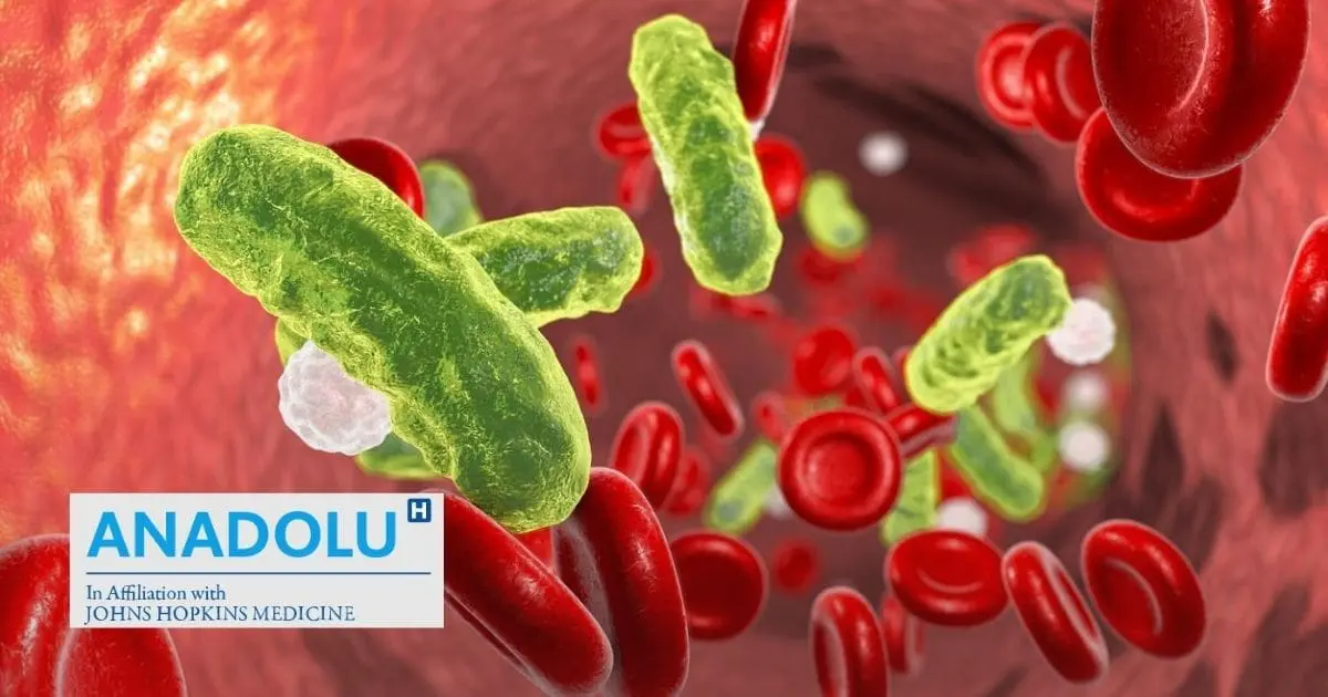 Septicémie : le mécanisme secret d&rsquo;une réponse immunitaire hors de contrôle