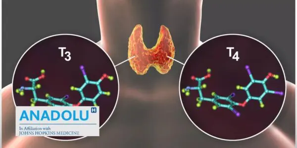 T4 libre (thyroxine) : le guide complet pour décoder votre bilan thyroïdien