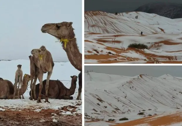 Spectacle insolite : quand la neige recouvre les dunes du Sahara algérien (IMAGES)