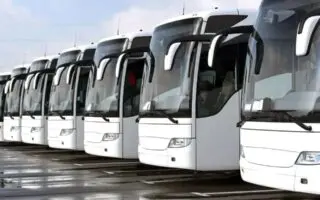 Transport public : une nouvelle cargaison de 568 bus réceptionnée au port d’Alger