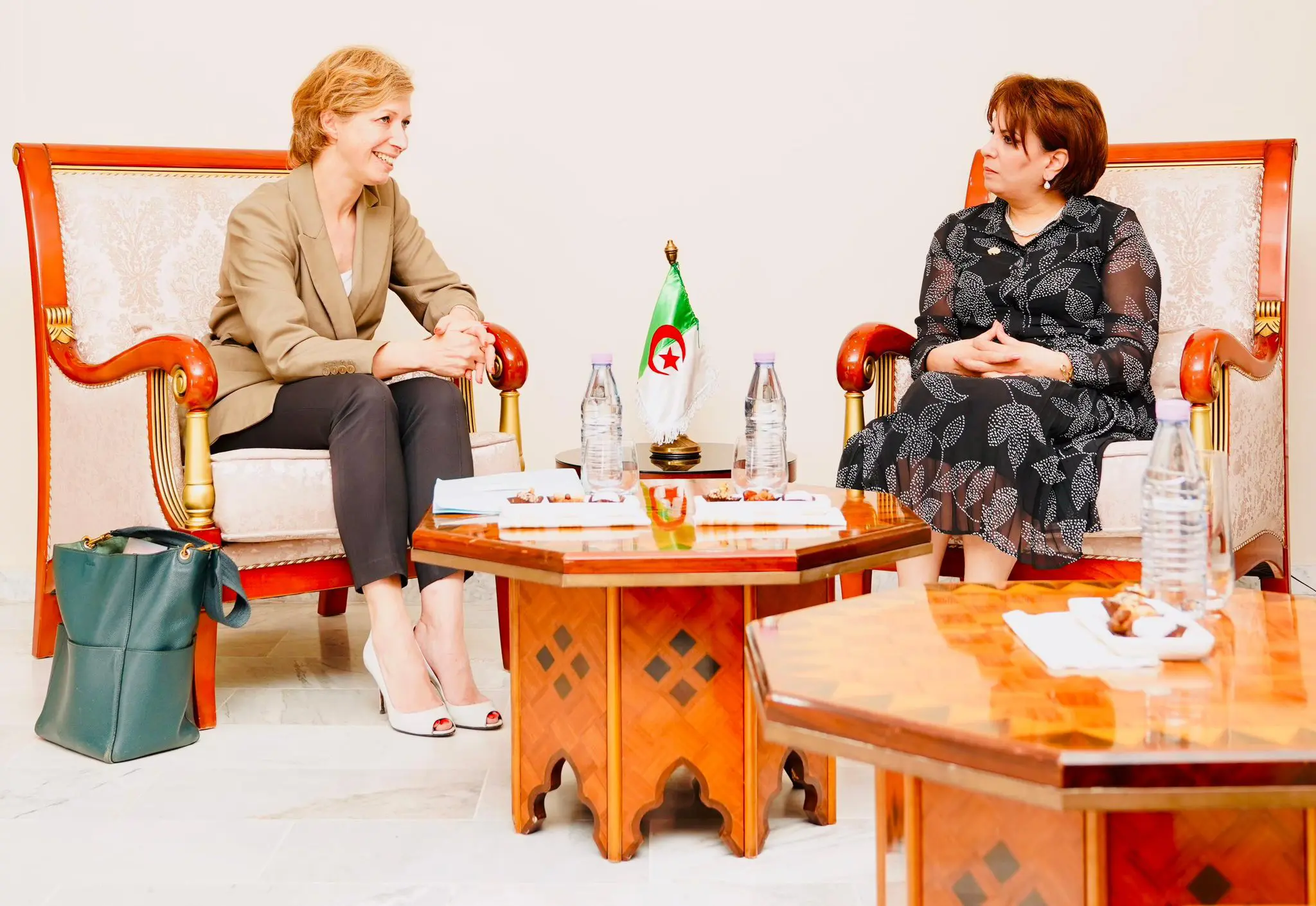 Rencontres Africaines-Méditerranéennes de la Pensée : La présidente de l’IMA invitée d’honneur d’Alger