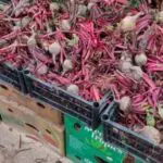 Vente des fruits et légumes : Le nettoyage obligatoire entre « officiellement » en vigueur (JO)