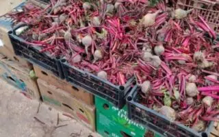 Vente des fruits et légumes : Le nettoyage obligatoire entre « officiellement » en vigueur (JO)