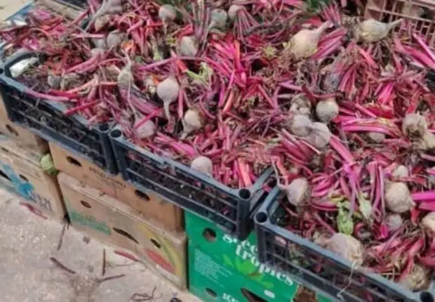 Vente des fruits et légumes : Le nettoyage obligatoire entre « officiellement » en vigueur (JO)