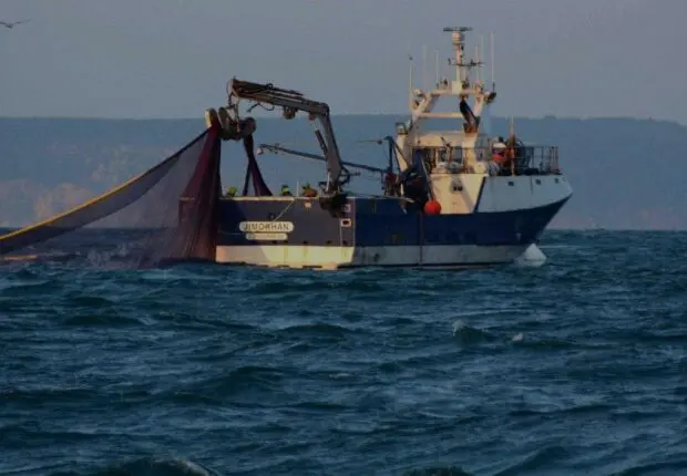 Pêche : Ce pays voisin autorise l’Algérie à exploiter 31 000 tonnes de poissons dans ses eaux