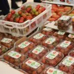 80 tonnes exportées vers l&rsquo;Espagne : La tomate algérienne joue déjà dans la cour des grands