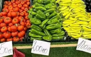 Tomate à 220 DA, ail à 1200 DA… Les prix des légumes s’envolent