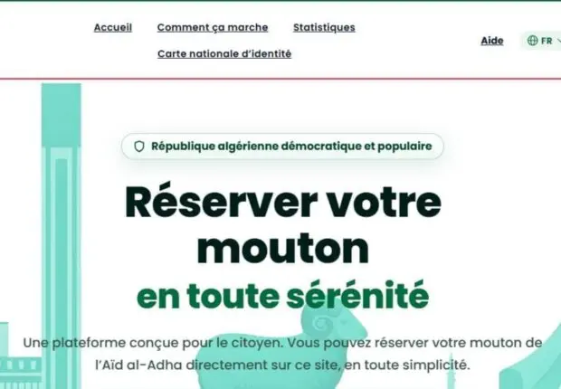 Vente des moutons importés en ligne : Voici comment s&rsquo;inscrire sur la plateforme Adhahi.dz (ministère)