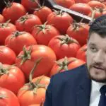 Elle a dépassé les 280 DA/kg… Voici le plan de l’État pour faire chuter le prix de la tomate